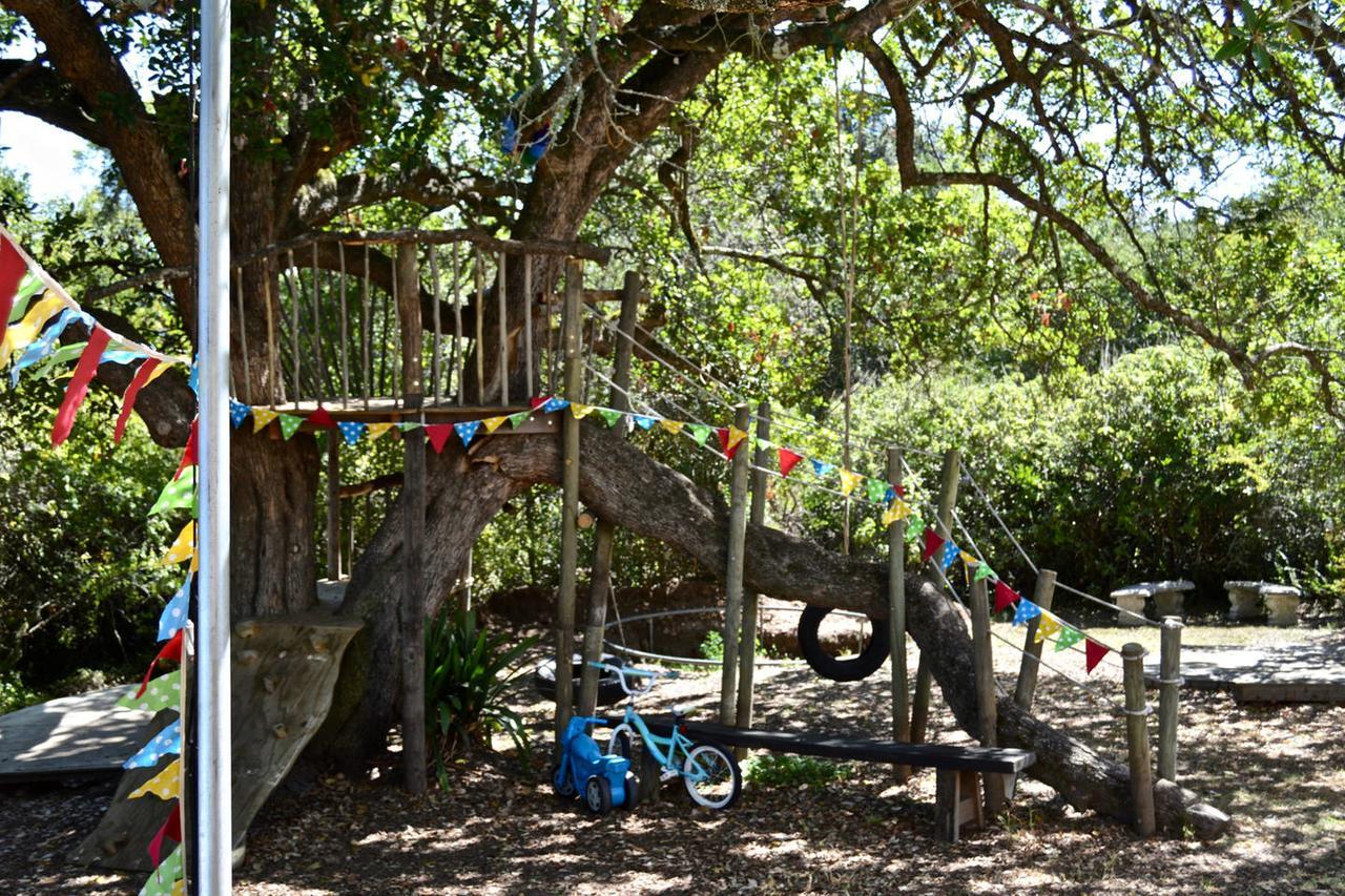 Shepherd'S Tree Backpackers Knysna Exteriér fotografie
