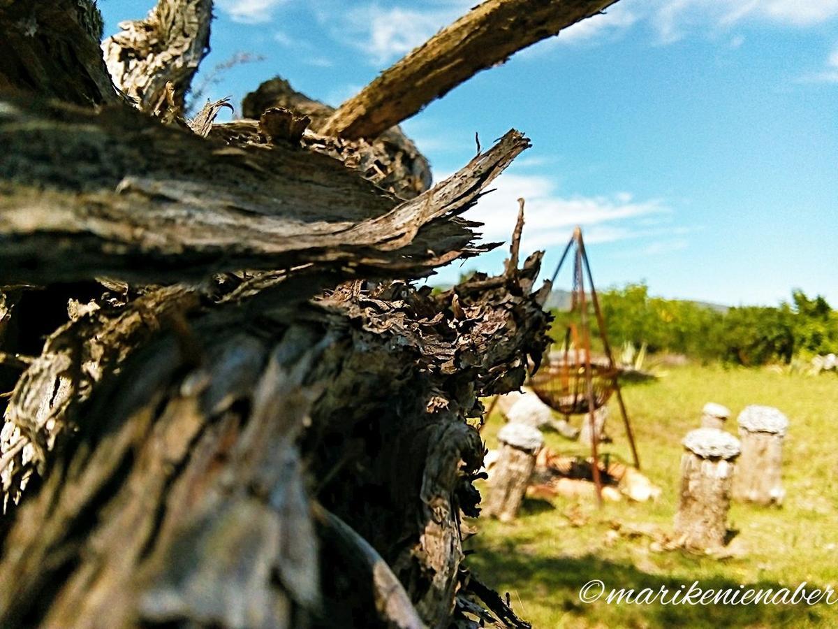 Shepherd'S Tree Backpackers Knysna Exteriér fotografie